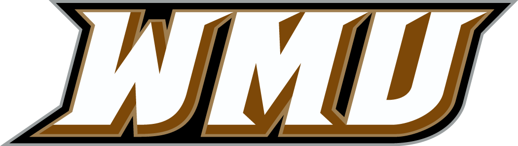 Western Michigan Broncos 1998-Pres Wordmark Logo v2 diy DTF decal sticker...